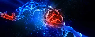 Genetic instability
