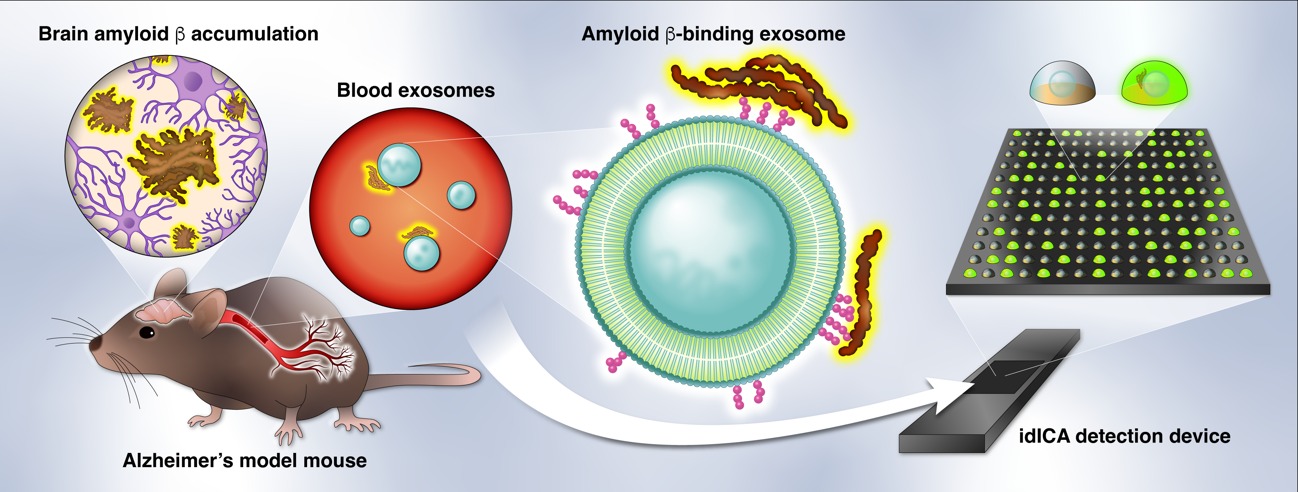 exosomes.jpg