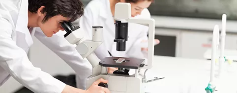 Scientists