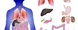 Bioprinting of tissues and organs