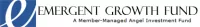 Emergent growth fund