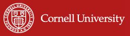 Cornell Institute for Translational Research on Aging