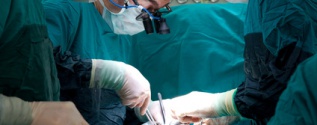 Transplantation