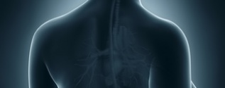 Endocrinology