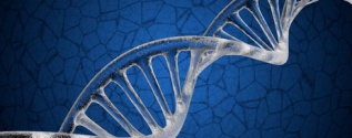 Genetics of aging