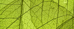 Photobiology