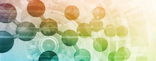 Molecular toxicology