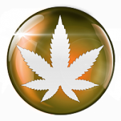 Моделирование молекулярных механизмов фитотерапии{{en:Modeling molecular mechanism of Herbal medicine}}