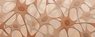 Tissue regeneration