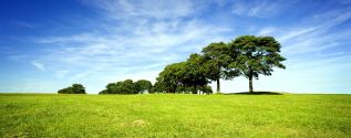 Environment