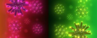Comparative biology