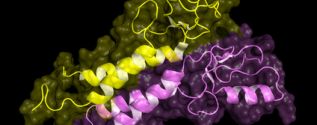 Proteomics