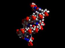 Investigating Molecular Signatures of Aging to Advance Geroscience