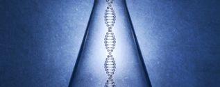 Genetic engineering