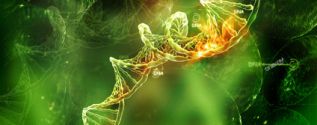 Radiation genetics